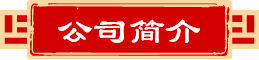 公司簡介